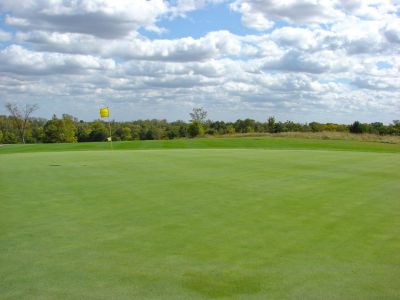 Course (14)